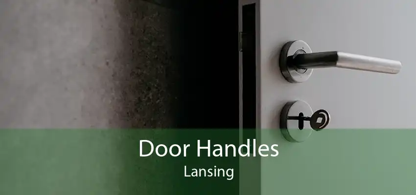Door Handles Lansing